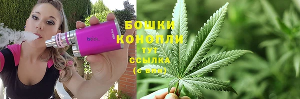 спайс Аркадак